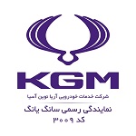 نمایندگی سانگ یانگ(شعبه اندرزگو)