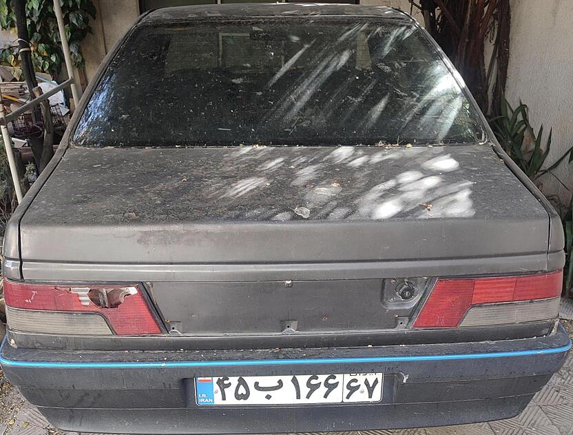 پژو، RDI