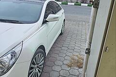 هیوندای، سوناتا
