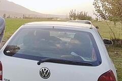 فولکس، گل
