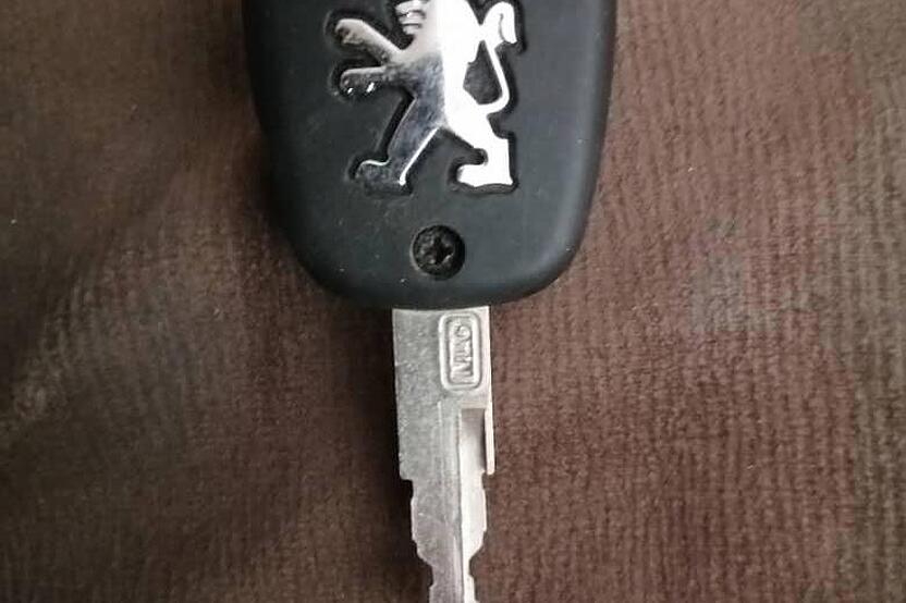 پژو، پارس