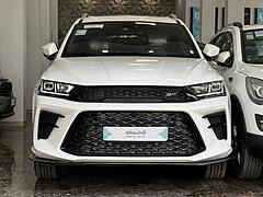 اس دبلیو ام، G01F